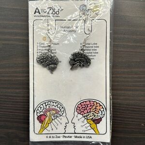 Human brain anatomy earing rings